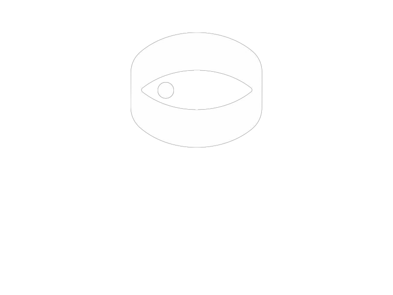 НИИ Электроника Logo